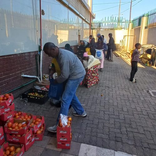 WhatsApp Image 2024-10-14 at 14.38.15_f3a57c77