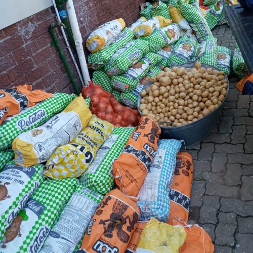 WhatsApp Image 2024-10-14 at 14.38.41_75df72b9